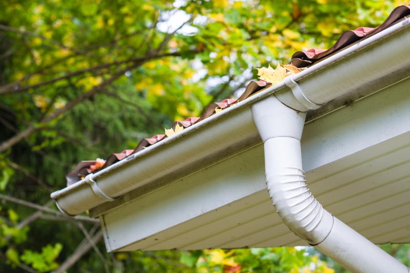 Rain Gutter Cleaners in Stotts City, MO 65756