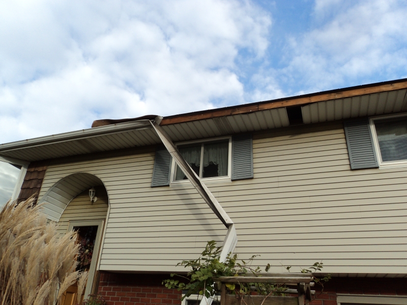 Rain Gutter repair in Belleville, IL 62221